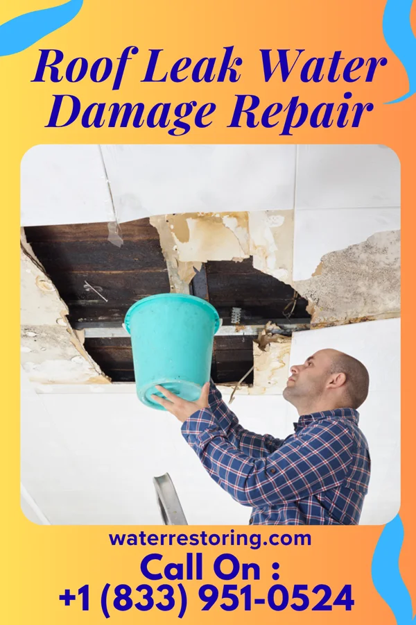 Roof Leak Water Damage Repair in Benbow, CA